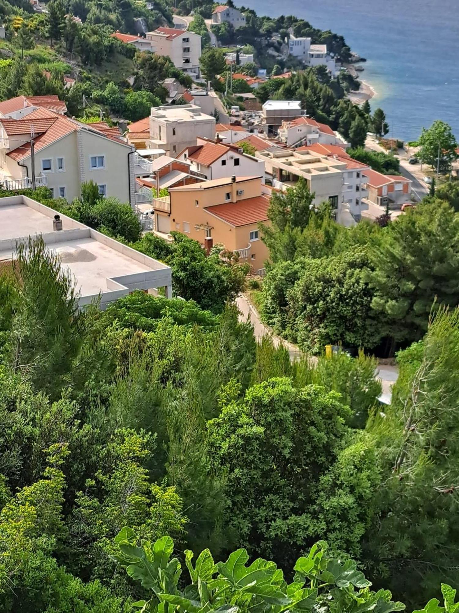Villa Zoi سيلينا المظهر الخارجي الصورة